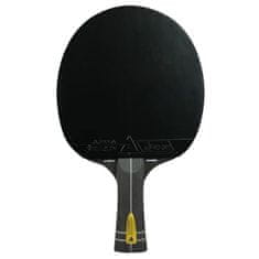 Joola Lopar za namizni tenis Joola Infinity Carbon