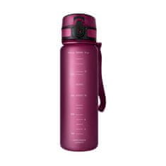 Aquaphor Aquaphor City filter steklenica 800ml bordo komplet 5 kartuš