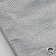 shumee Super močna ponjava, 160 g/m2 srebrna super močna 6x8