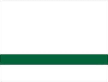 COLOP Gravurni laminat bela/svetlo zelena 1,6 mm LZ-919-016