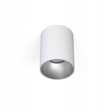 NOWODVORSKI Nowodvorski Eye Tone GU10 10W nadgradna stropna svetilka, bela srebrna