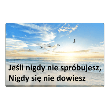 shumee Magnet za hladilnik "Če nikoli ne poskusiš ..."