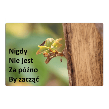 shumee Magnet za hladilnik "Nikoli ni prepozno ..."