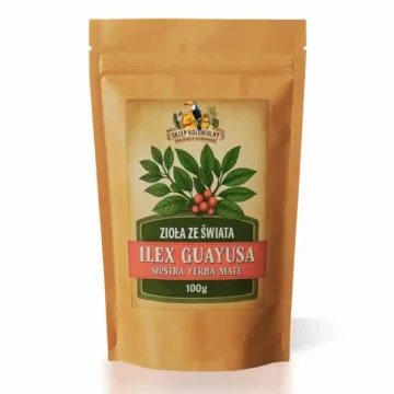 shumee Ilex guayusa