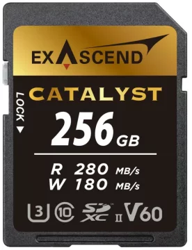 shumee Pomnilniška kartica Exascend Catalyst UHS-II V60 256 GB