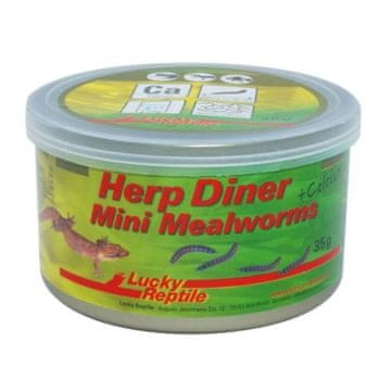 Lucky Reptile Herp Diner - mlinski črvi 35g Mlinski črvi mini 35g