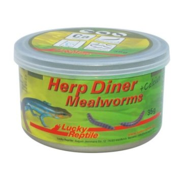 Lucky Reptile Herp Diner - mlinski črvi 35g Mlinski črvi 35g