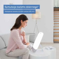 Beurer Beurer TL85 namizna svetilka za simulacijo dnevne svetlobe, LED