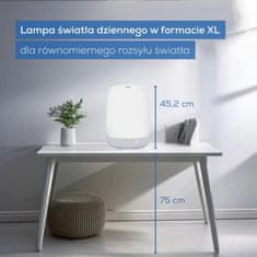 Beurer Beurer TL85 namizna svetilka za simulacijo dnevne svetlobe, LED
