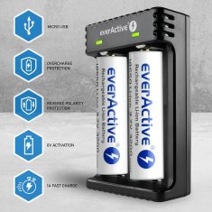 everActive everActive LC-200 polnilnik za cilindrične Li-Ion baterije