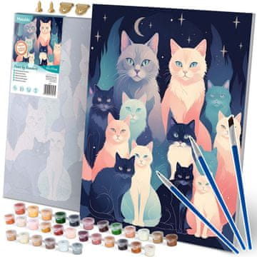 Massido Slikanje po številkah 40x50 cm Massido Cats