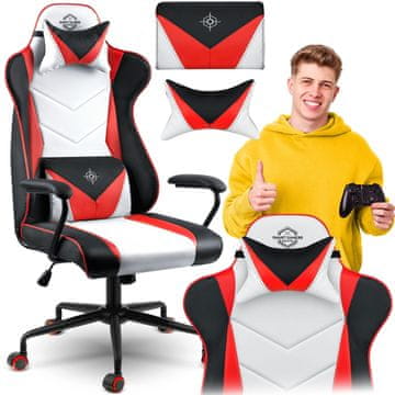 Sofotel Ergonomski gaming stol Sofotel Cerber črno/siv