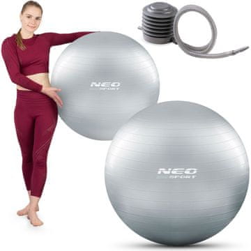 Northix Žoga za trening 75 cm NS-952 Srebrna
