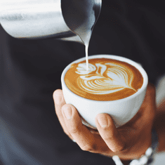 Adler AD 4494 črni penilnik mleka - penjenje in segrevanje (latte in kapučino)