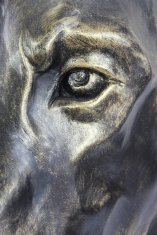 Doberman, Dobermann - pasji doprsni kip, velika pasja glava za vrt, edinstvena dekoracija dnevne sobe
