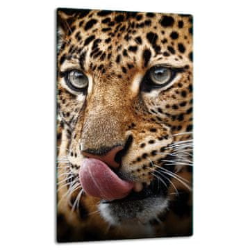 shumee Steklena plošča, pult, 30x52 tiger