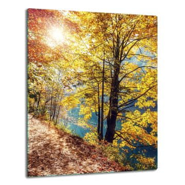 shumee Steklena plošča, plošča za mizo, 40x52, ležeča
