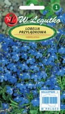 shumee Semena kapske lobelije, modra lobelija