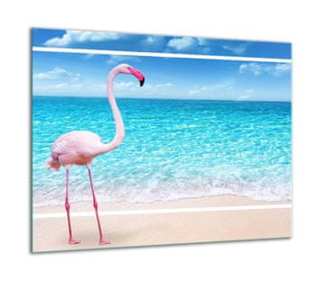 shumee Steklena zaščitna plošča ZA štedilnik 60x52 flamingo