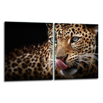 shumee 2x zaščitna steklena plošča ZA štedilnik 40x52 tiger