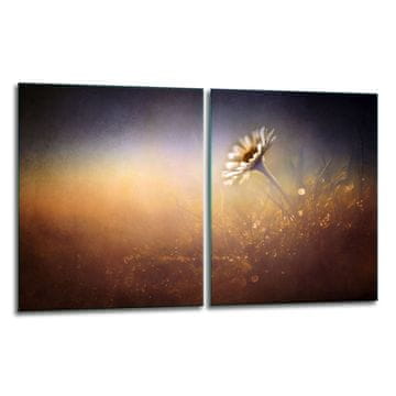 shumee 2x zaščitna steklena plošča ZA štedilnik 40x52 cvet