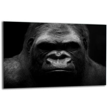 shumee Steklena zaščitna plošča ZA štedilnik 80x52 gorilla