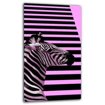 shumee Steklena zaščitna plošča za indukcijo 30x52 zebra
