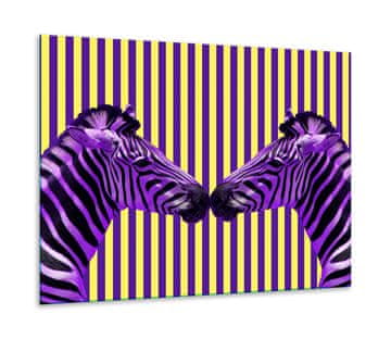 shumee Steklena zaščitna plošča ZA štedilnik 60x52 zebra