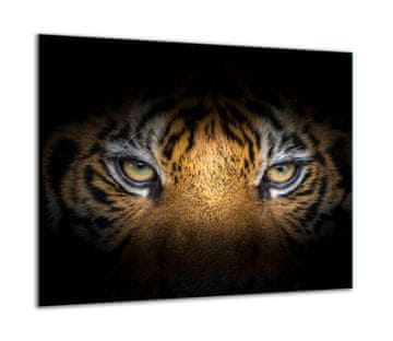 shumee Steklena zaščitna plošča ZA štedilnik 60x52 tiger