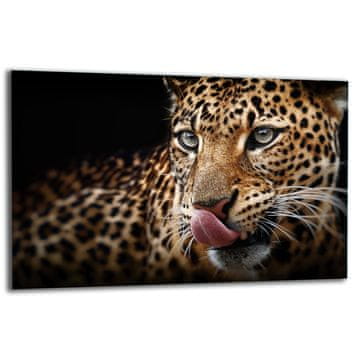 shumee Steklena zaščitna plošča ZA štedilnik 80x52 tiger
