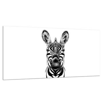 shumee Steklena zaščitna plošča ZA štedilnik 90X52 zebra