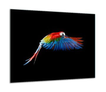 shumee Steklena zaščitna plošča ZA štedilnik 60x52 bird
