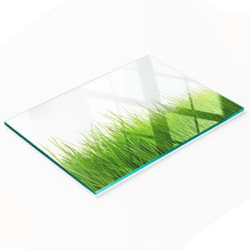 shumee Servirna deska iz kaljenega stekla z grafiko trave 80x52 cm