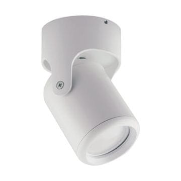 Ideus Ideus 03539 bela stenska in stropna svetilka 35W IP20 GU10