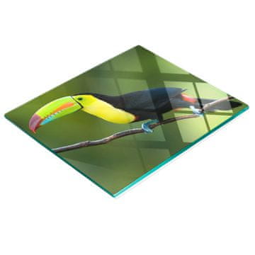 shumee Večnamenska dekorativna tabla iz kaljenega stekla Toucan 60x52 cm
