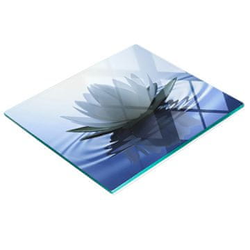 shumee Kaljena večnamenska dekorativna steklena tabla Lokvanj 60x52 cm