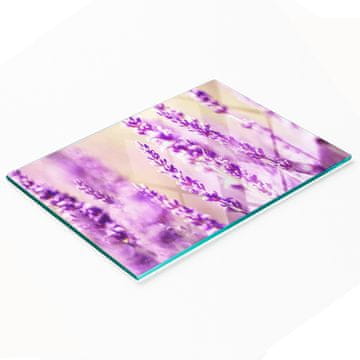 shumee Dekorativna steklena deska za rezanje z grafiko sivke 80x52 cm