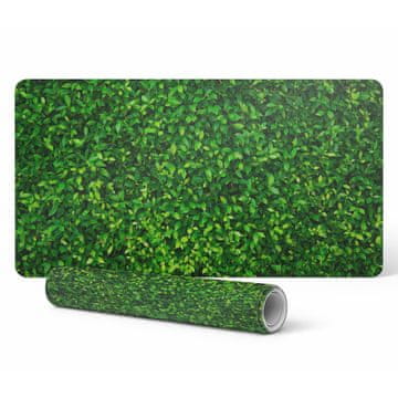 shumee Zaščitna podloga za domačo pisarno Leafy Nature Wall 100x50 cm