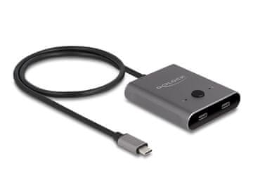 Delock Vmesniški hub DeLOCK 8280241, USB 3.2 Gen 2 Type-C, 10000 Mbit/s, siv