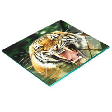 shumee Kaljena večnamenska dekorativna steklena tabla Rjoveči tiger 60x52 cm