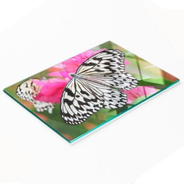 shumee Kuhinjska večnamenska dekorativna steklena tabla Metulj cvet 80x52 cm