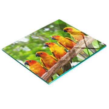shumee Kuhinjska večnamenska dekorativna tabla utrjena veja papige 60x52 cm