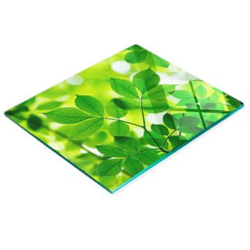 shumee Kaljena večnamenska dekorativna steklena tabla Zeleni listi 60x52 cm