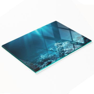 shumee Dekorativna kaljena steklena deska za rezanje Podvodni svet 80x52 cm