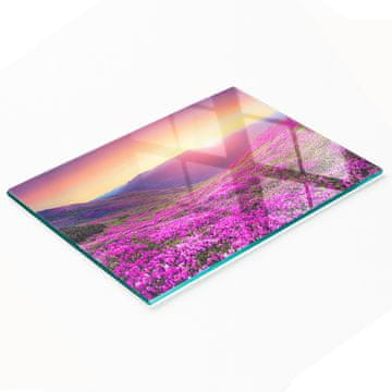 shumee Dekorativna steklena servirna deska za prigrizke Pink Hills 80x52 cm