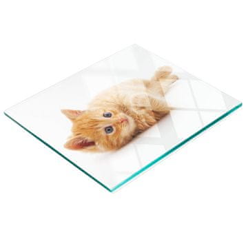 shumee Kaljena večnamenska dekorativna steklena tabla Rdeča mačka 60x52 cm