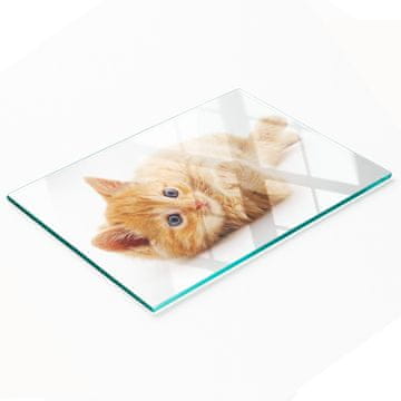 shumee Kaljena večnamenska dekorativna steklena tabla Rdeča mačka 80x52 cm