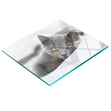shumee Kaljena večnamenska dekorativna steklena tabla Siva mačka 60x52 cm
