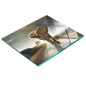 shumee Kuhinjska večnamenska dekorativna deska iz kaljenega stekla slon 60x52 cm