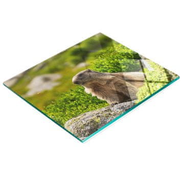 shumee Elegantna in trpežna steklena tabla z vzorcem tatranskega svizca 60x52 cm